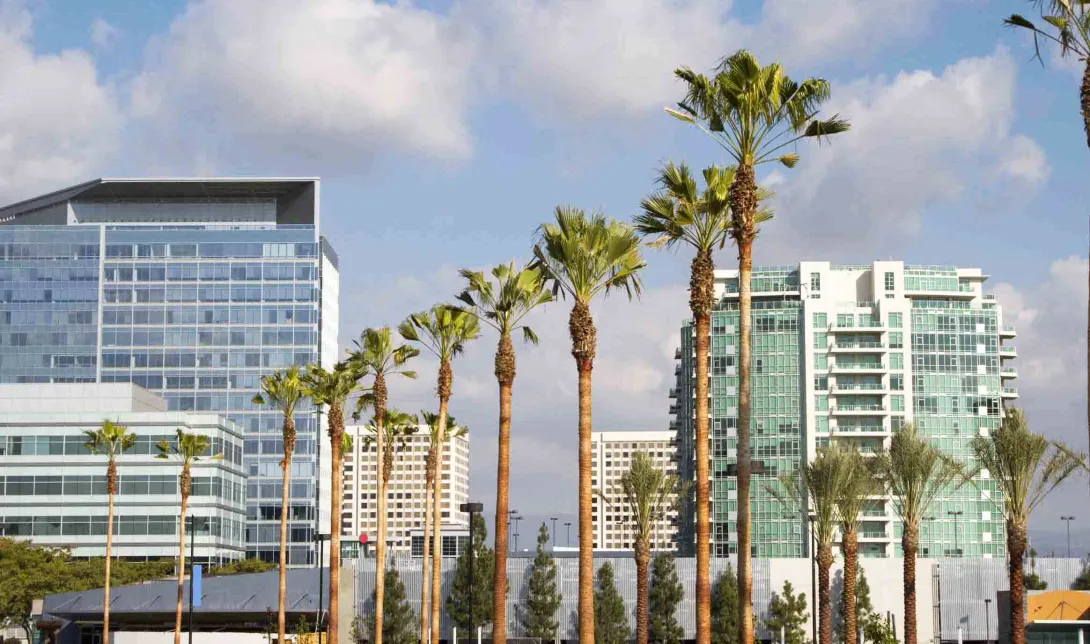 Irvine, California buildings and palm trees